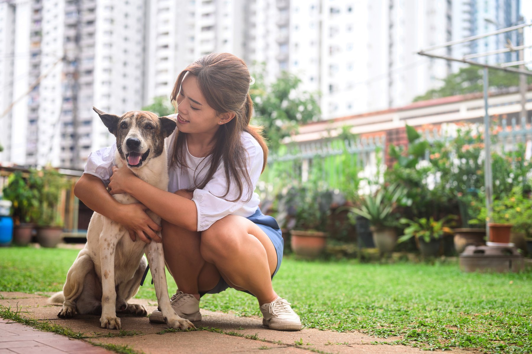 Pet owner caring for her pet dog.